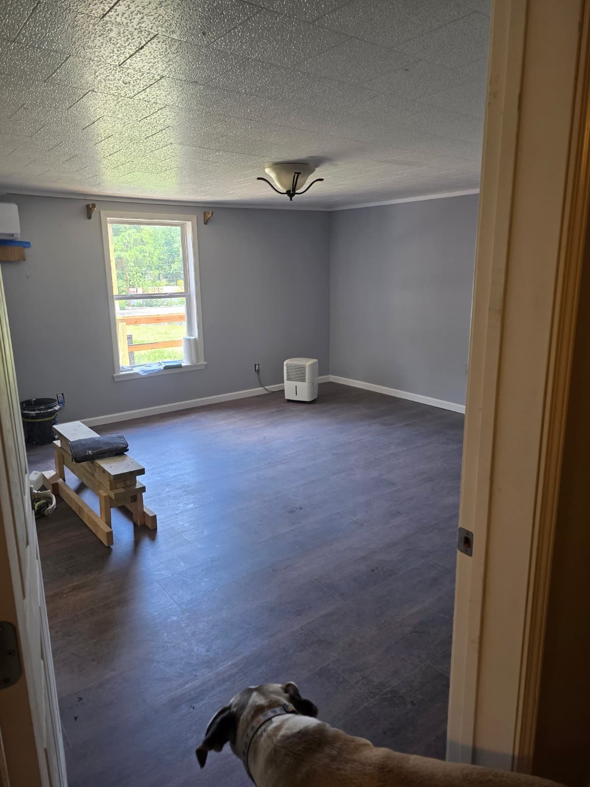 Interior flooring and paint